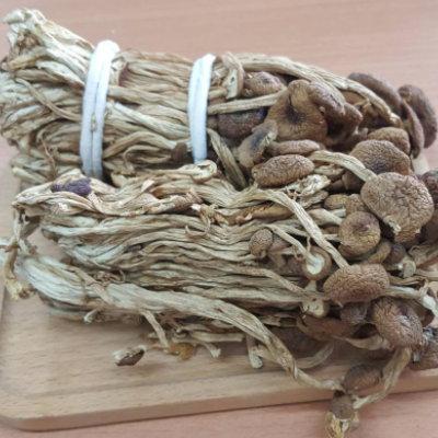 茶樹菇